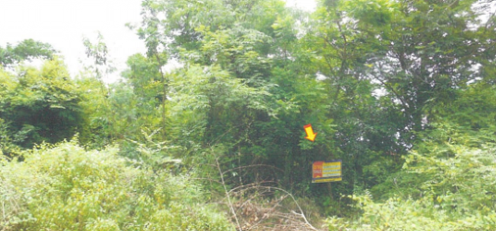 Residential land/lot Buri Ram Lahan Sai Lahan Sai 428000