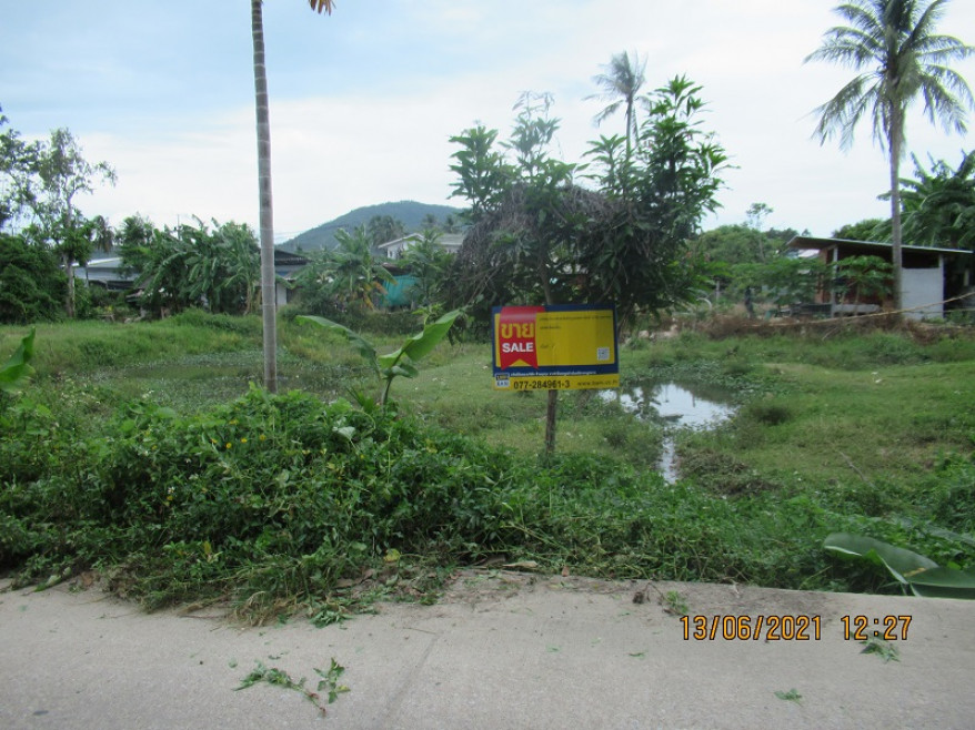 Residential land/lot Surat Thani Ko Samui Bo Phut 3086000