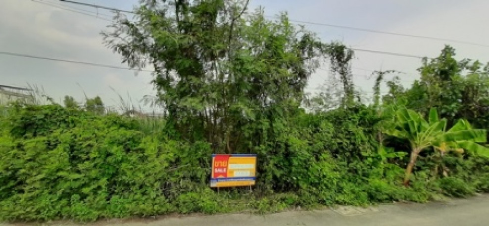ที่ดินเปล่า ปทุมธานี ธัญบุรี รังสิต 4851000
