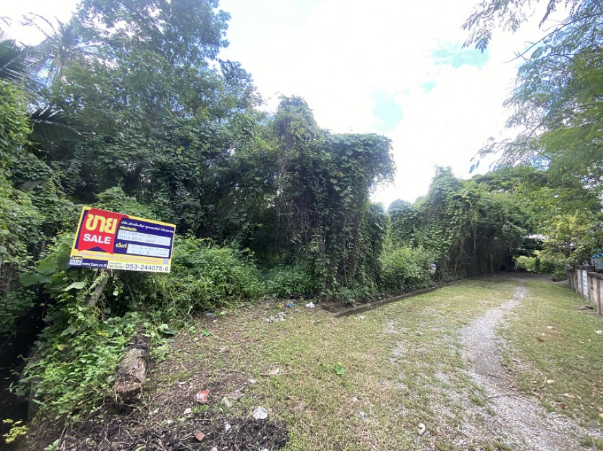 Residential land/lot Chiang Mai San Pa Tong Yu Wa 5741000