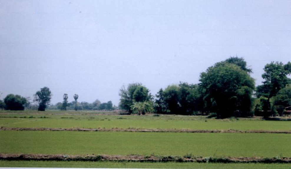 ที่ดินเปล่า สุโขทัย เมืองสุโขทัย ตาลเตี้ย 0