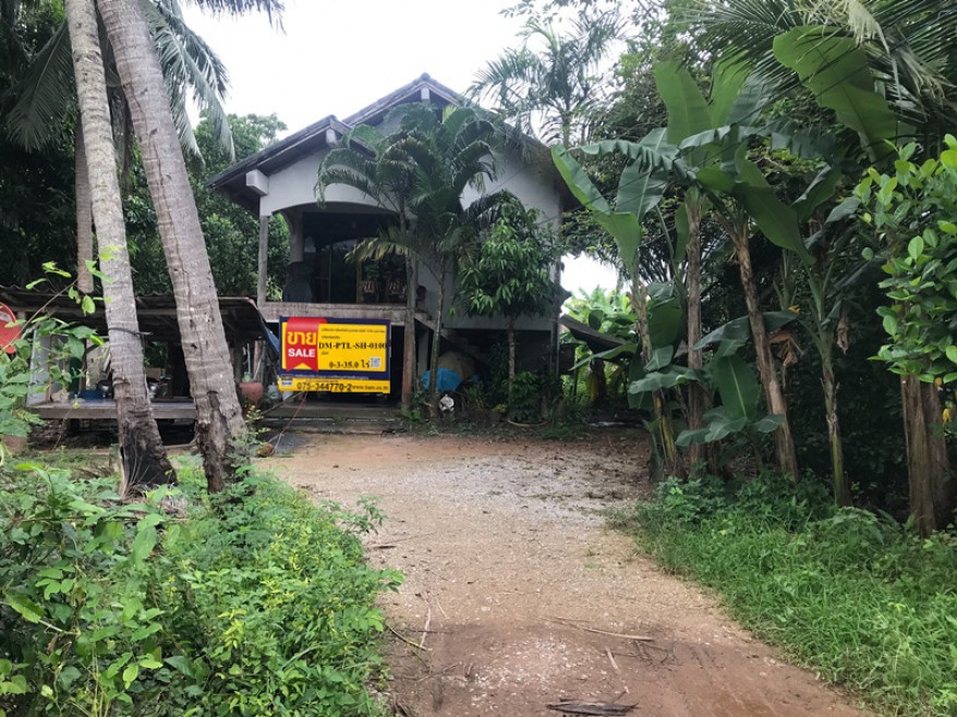 Single house Phatthalung Khuan Khanun Makok Nuea 1001000