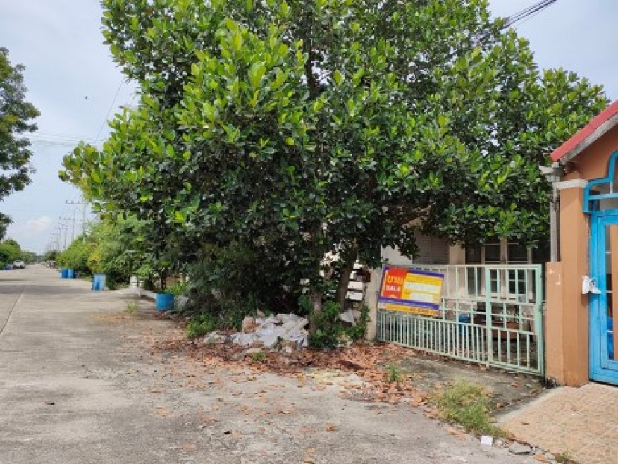 บ้านเดี่ยว ปทุมธานี ลำลูกกา ลำลูกกา 1260000