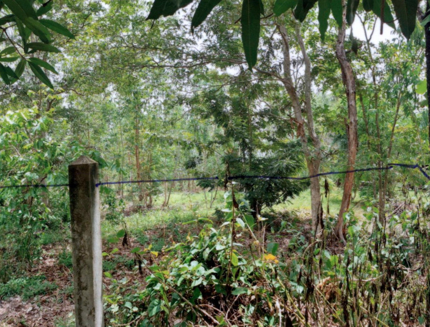 Residential land/lot Kamphaeng Phet Mueang Kamphaeng Phet Nai Mueang 12500