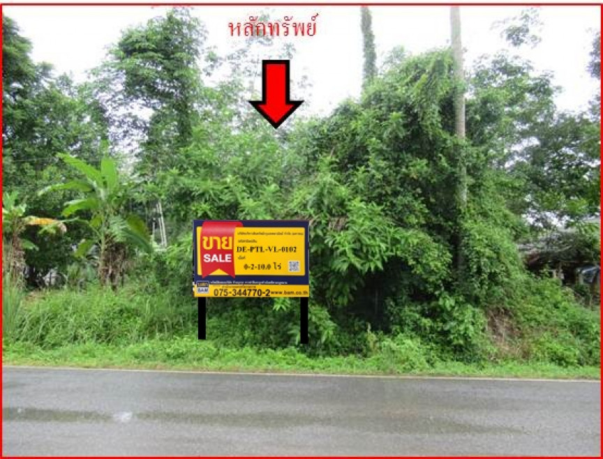 Residential land/lot Phatthalung Pa Bon Nong Thong 552000