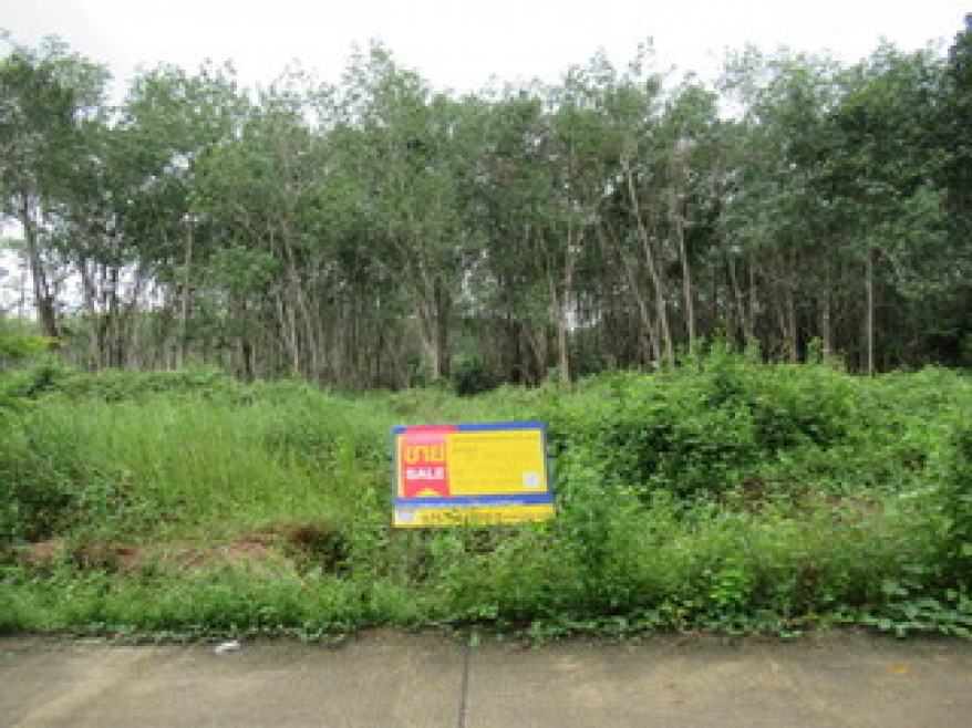 Residential land/lot Trang Kantang Wang Won 219000