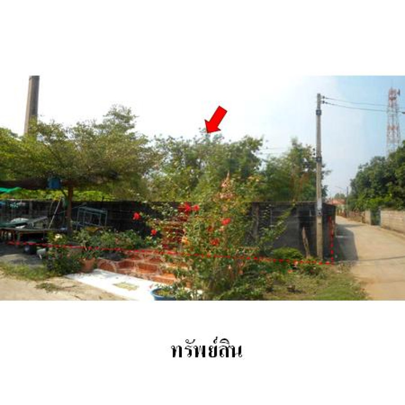 ที่ดินเปล่า พิจิตร เมืองพิจิตร หัวดง 7193600