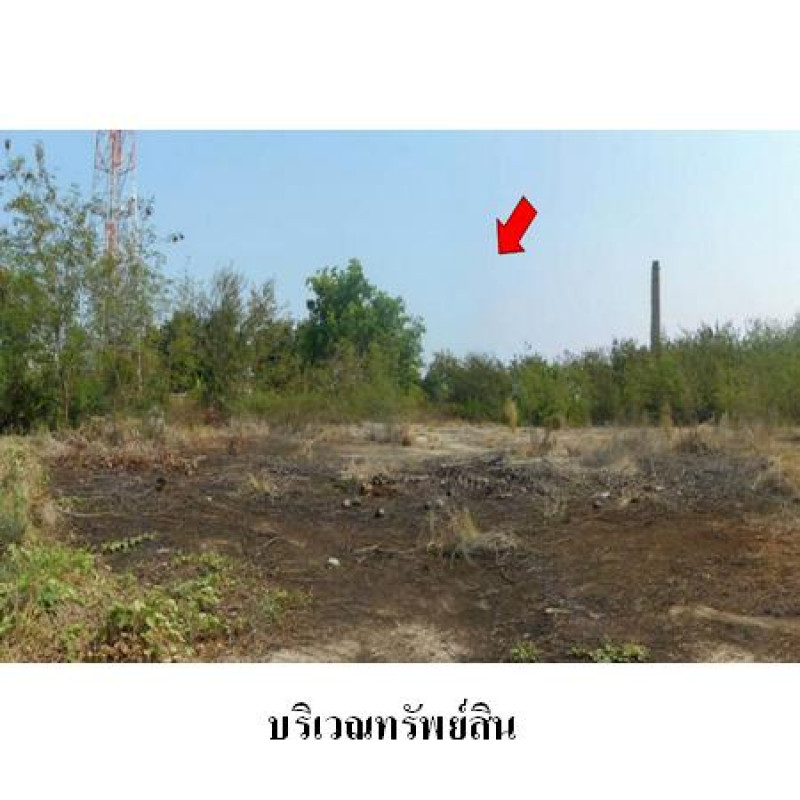 ที่ดินเปล่า พิจิตร เมืองพิจิตร หัวดง 7193600