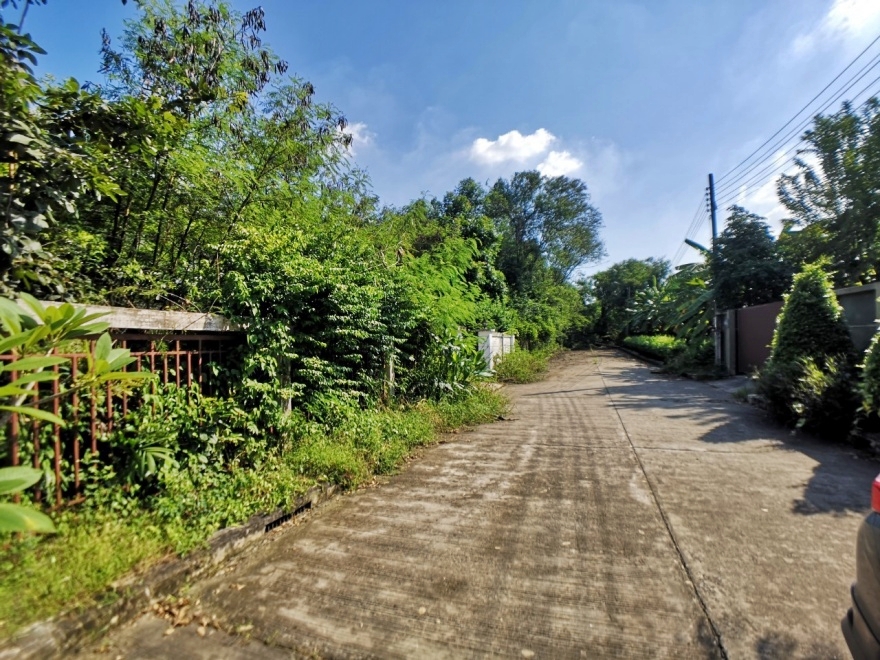 บ้านเดี่ยว กรุงเทพมหานคร หนองจอก ลำผักชี 76120000
