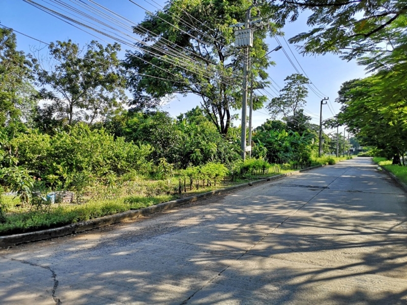 ที่ดินเปล่า กรุงเทพมหานคร หนองจอก ลำผักชี 46750000