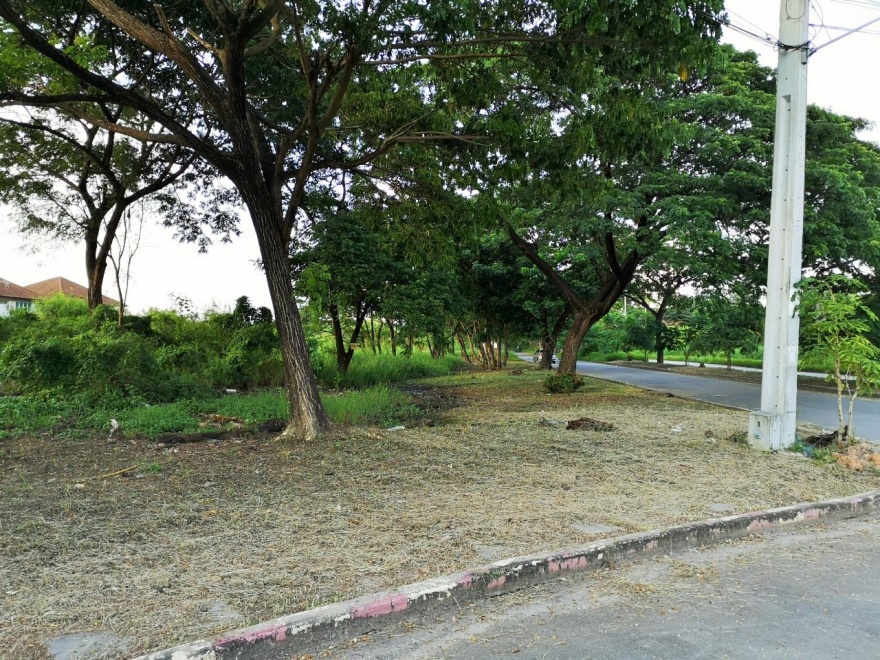 ที่ดินเปล่า กรุงเทพมหานคร หนองจอก ลำผักชี 46750000