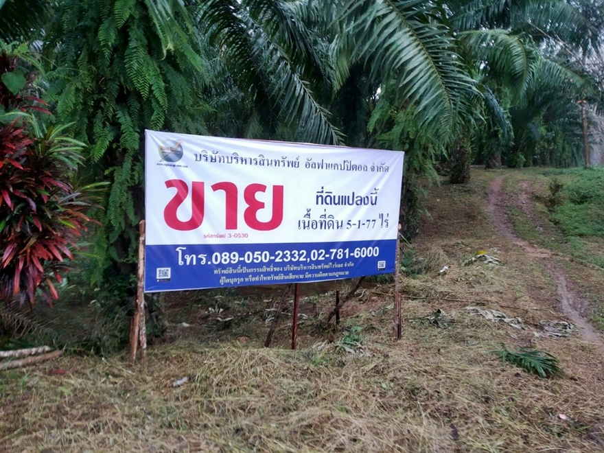 ที่ดินเปล่า พังงา คุระบุรี คุระ 1370000