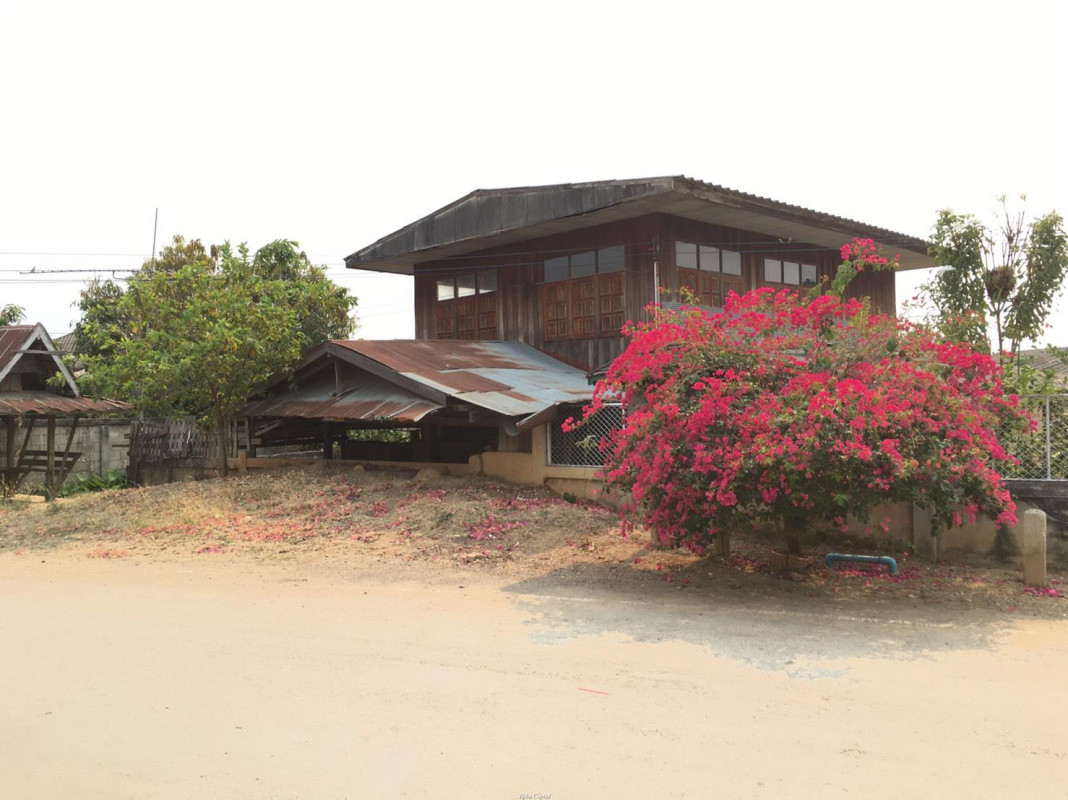 บ้านเดี่ยว พะเยา ดอกคำใต้ สันโค้ง 970000