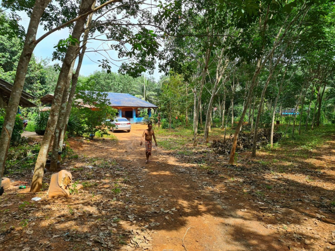 บ้านเดี่ยว ตรัง ย่านตาขาว ทุ่งกระบือ 1200000