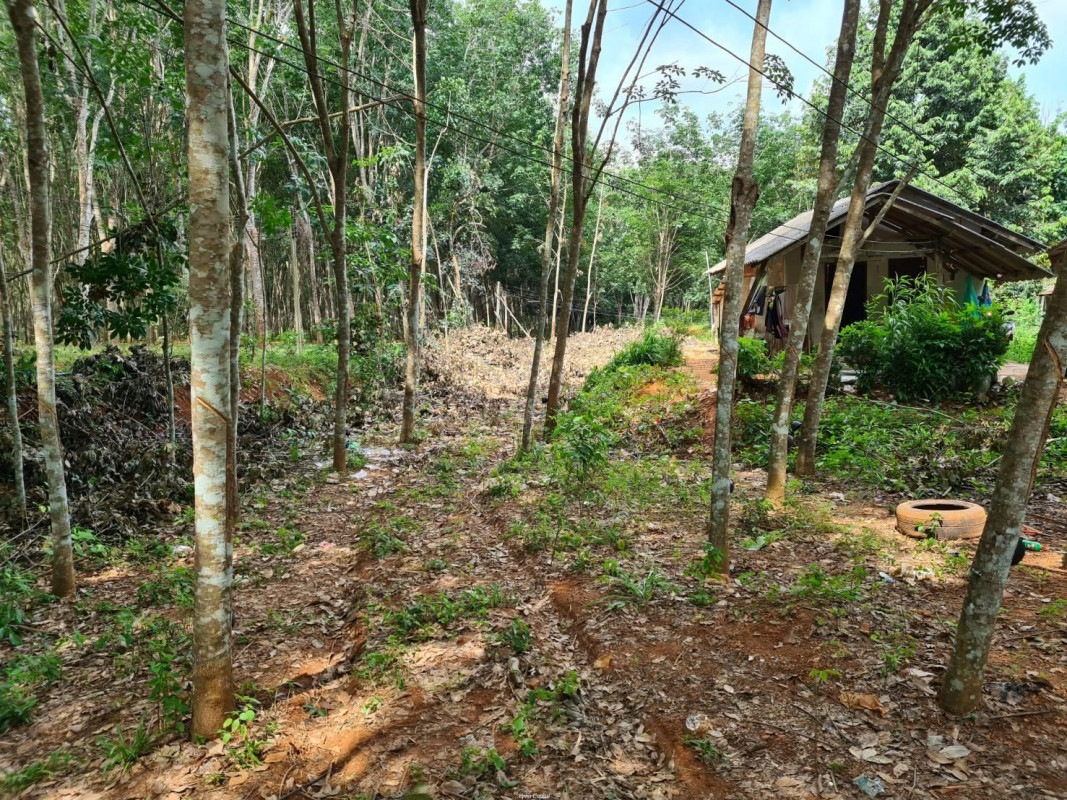 บ้านเดี่ยว ตรัง ย่านตาขาว ทุ่งกระบือ 1200000