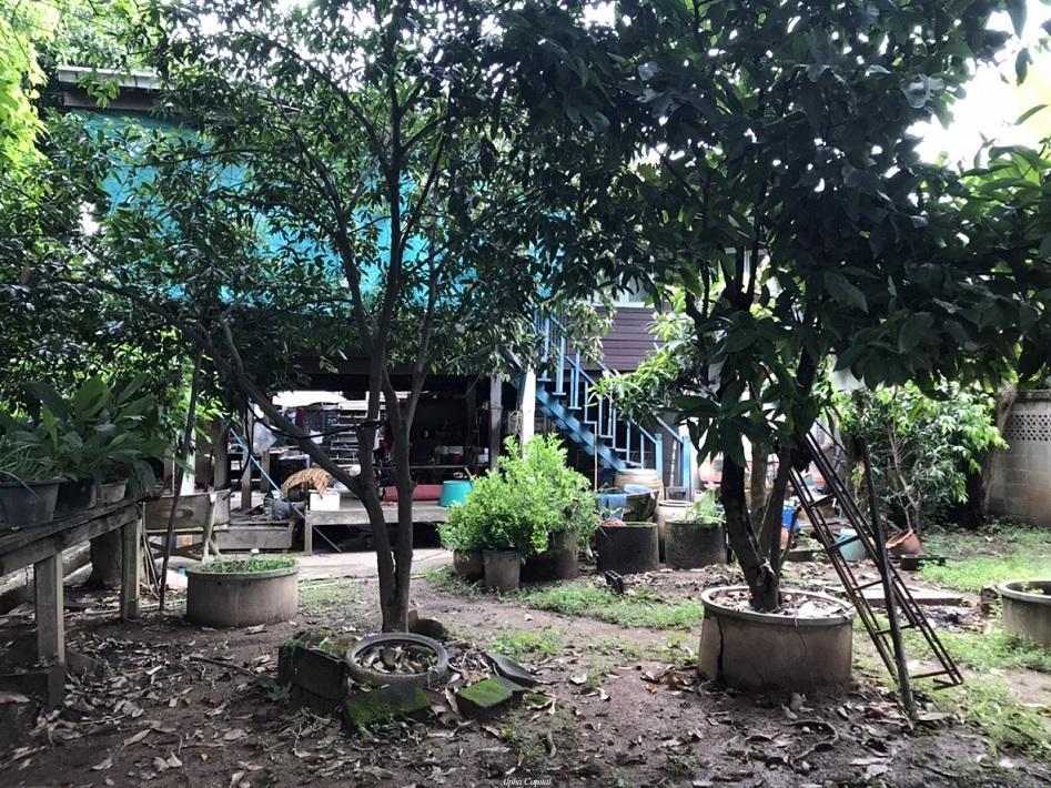 บ้านเดี่ยว พิจิตร ตะพานหิน ห้วยเกตุ 1170000