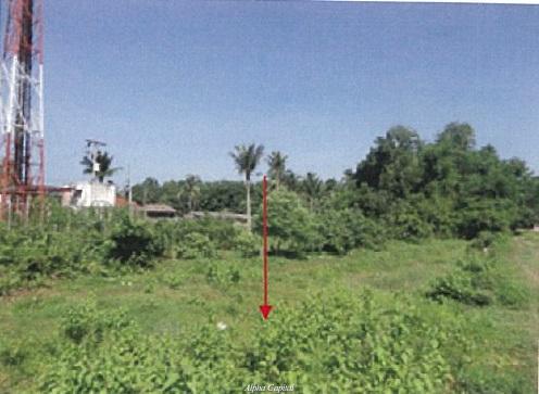 ที่ดินเปล่า ปัตตานี หนองจิก บ่อทอง 960000