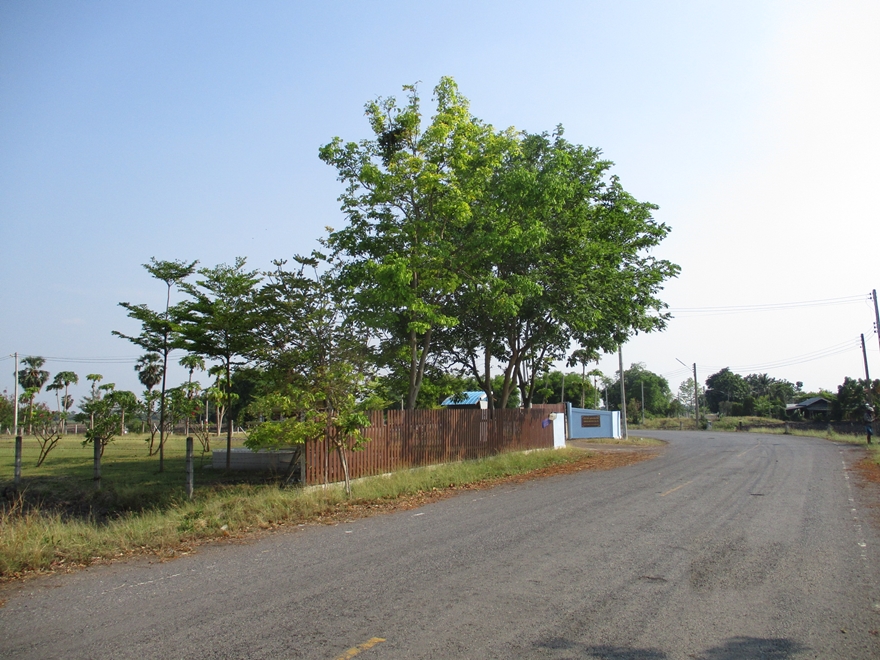 ที่ดินเปล่า สระบุรี หนองโดน บ้านกลับ 6300000