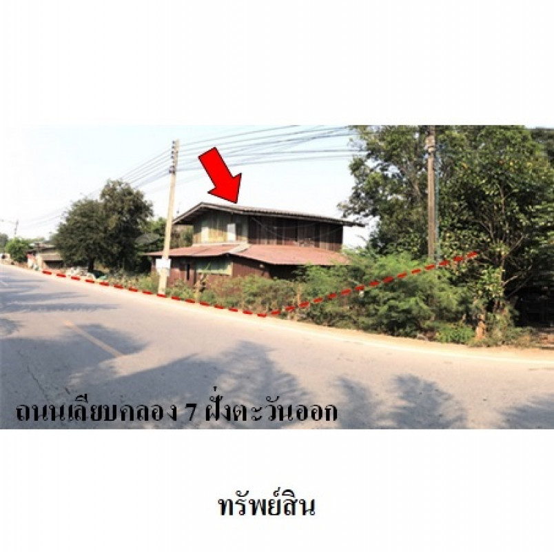 ที่ดินเปล่า ปทุมธานี หนองเสือ บึงชำอ้อ 24167200
