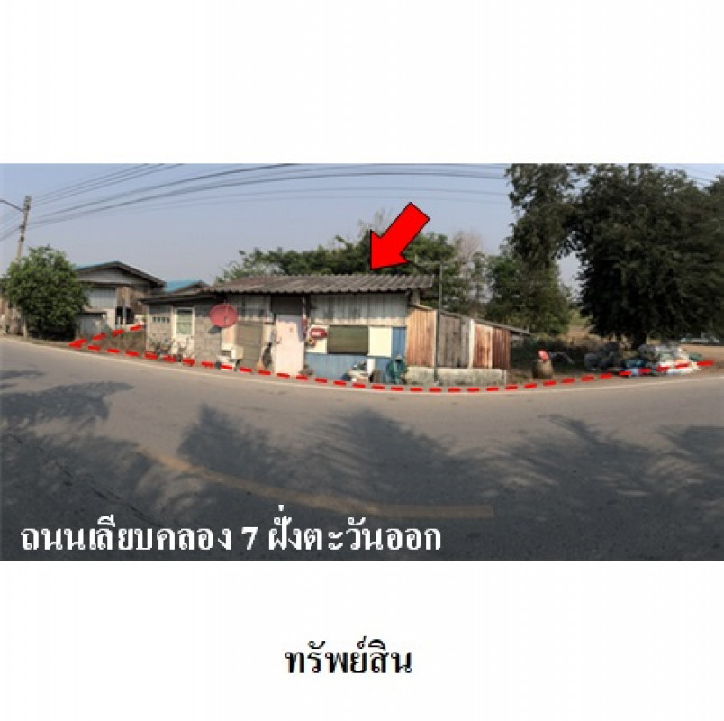 ที่ดินเปล่า ปทุมธานี หนองเสือ บึงชำอ้อ 24167200