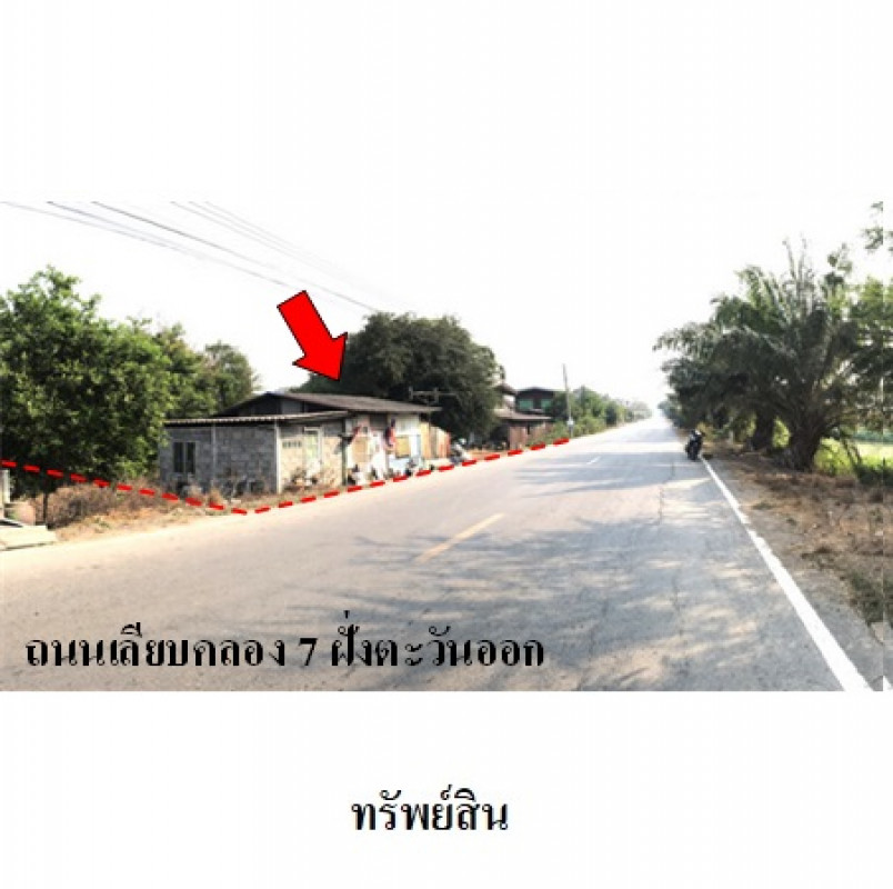 ที่ดินเปล่า ปทุมธานี หนองเสือ บึงชำอ้อ 24167200