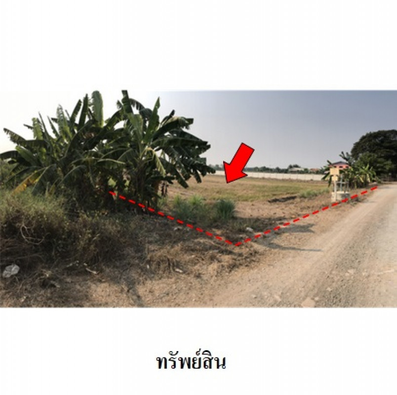 ที่ดินเปล่า ปทุมธานี หนองเสือ บึงชำอ้อ 24167200