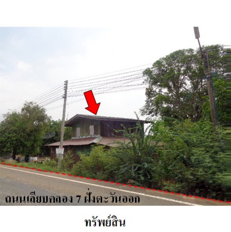 ที่ดินเปล่า ปทุมธานี หนองเสือ บึงชำอ้อ 24167200