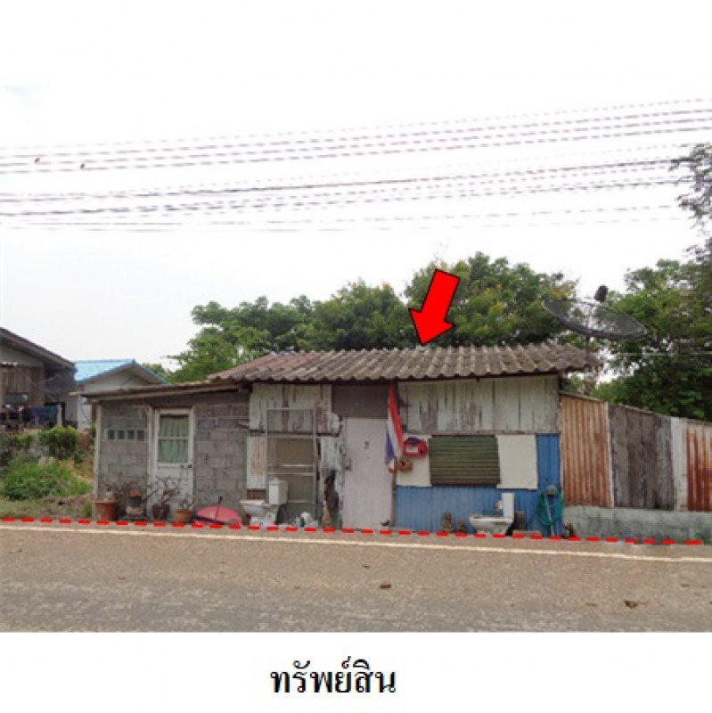 ที่ดินเปล่า ปทุมธานี หนองเสือ บึงชำอ้อ 24167200
