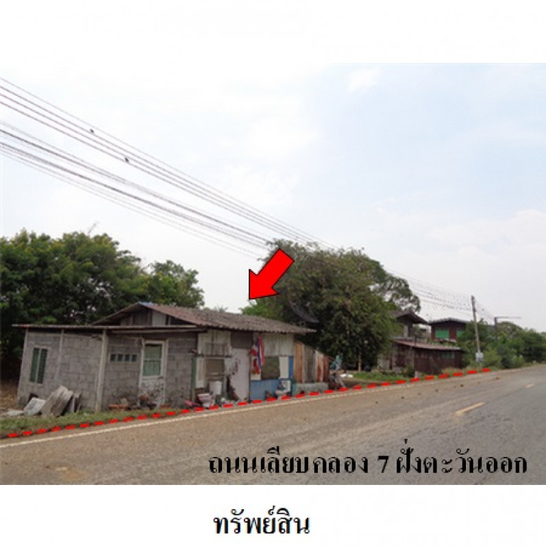 ที่ดินเปล่า ปทุมธานี หนองเสือ บึงชำอ้อ 24167200
