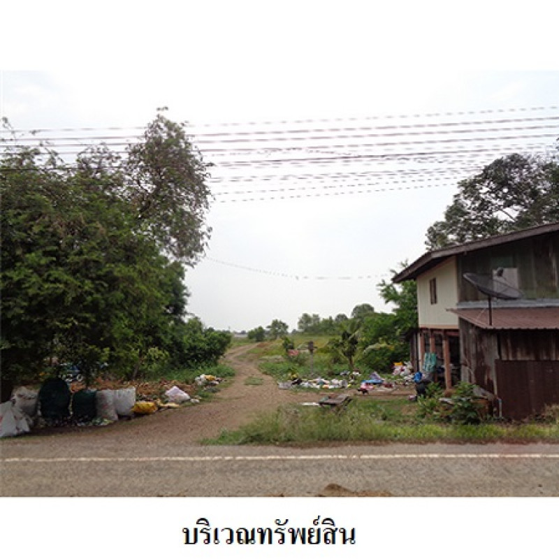 ที่ดินเปล่า ปทุมธานี หนองเสือ บึงชำอ้อ 24167200