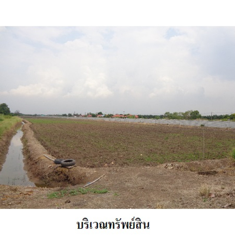 ที่ดินเปล่า ปทุมธานี หนองเสือ บึงชำอ้อ 24167200