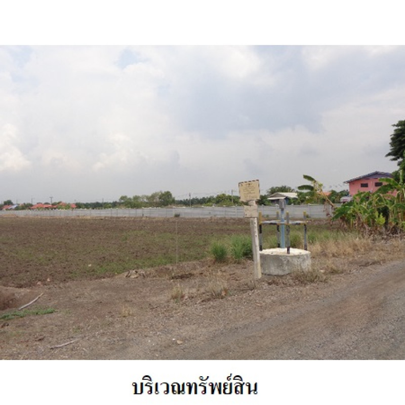 ที่ดินเปล่า ปทุมธานี หนองเสือ บึงชำอ้อ 24167200