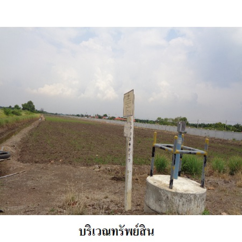 ที่ดินเปล่า ปทุมธานี หนองเสือ บึงชำอ้อ 24167200