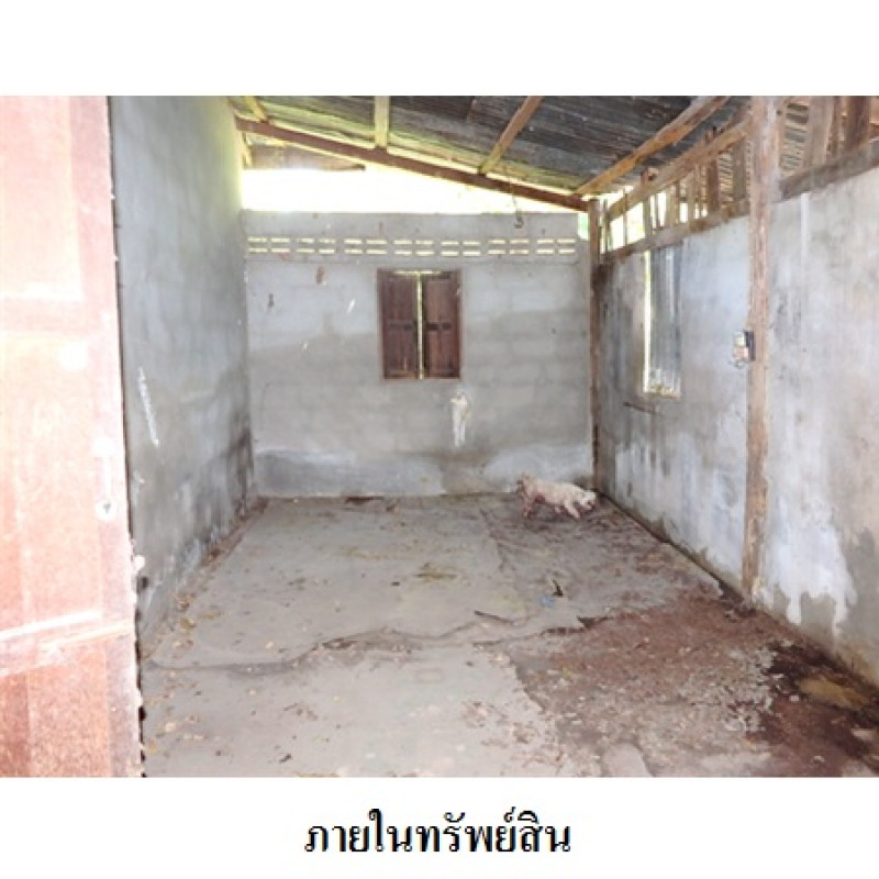 บ้านเดี่ยว นครราชสีมา เมืองนครราชสีมา มะเริง 125000