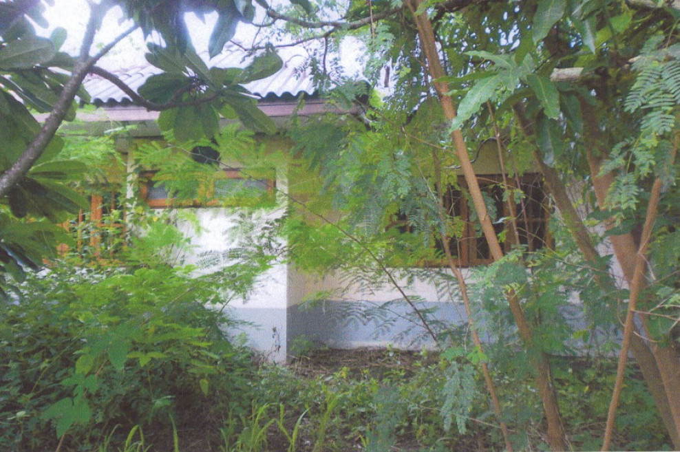 Single house Phayao Dok Khamtai San Khong 740408
