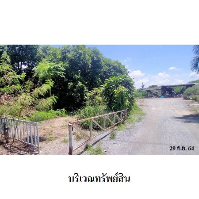Plant/Storage Ang Thong Wiset Chai Chan Yi Lon 13028500