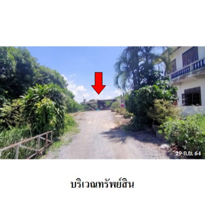 Plant/Storage Ang Thong Wiset Chai Chan Yi Lon 13028500