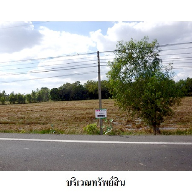 Residential land/lot Surin Chumphon Buri Phrai Khla 1870000