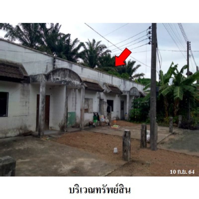 บ้านเดี่ยว ไม้หลาการ์เด้นท์ นครศรีธรรมราช ร่อนพิบูลย์ หินตก 7900000