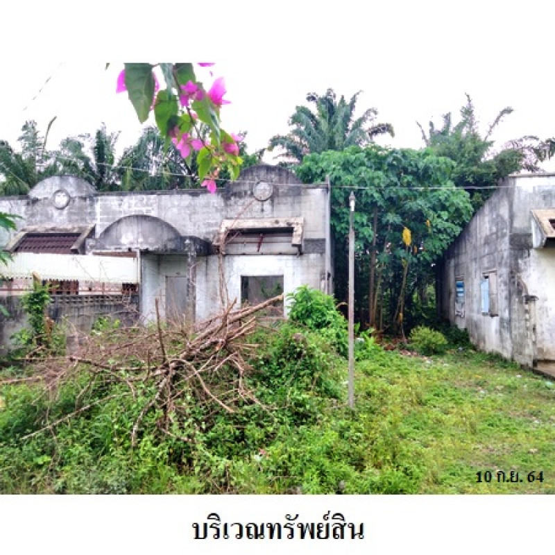 บ้านเดี่ยว ไม้หลาการ์เด้นท์ นครศรีธรรมราช ร่อนพิบูลย์ หินตก 7900000