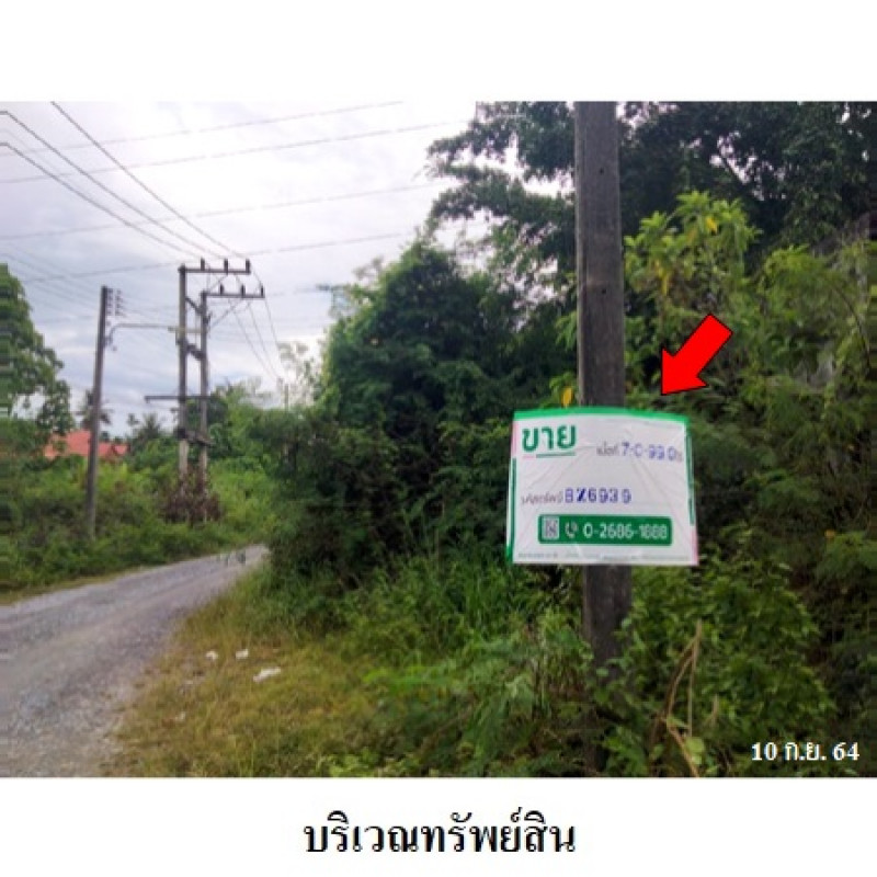 บ้านเดี่ยว ไม้หลาการ์เด้นท์ นครศรีธรรมราช ร่อนพิบูลย์ หินตก 7900000