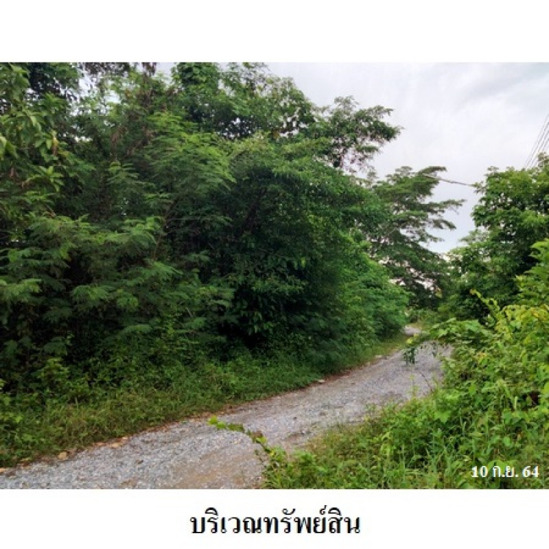 บ้านเดี่ยว ไม้หลาการ์เด้นท์ นครศรีธรรมราช ร่อนพิบูลย์ หินตก 7900000