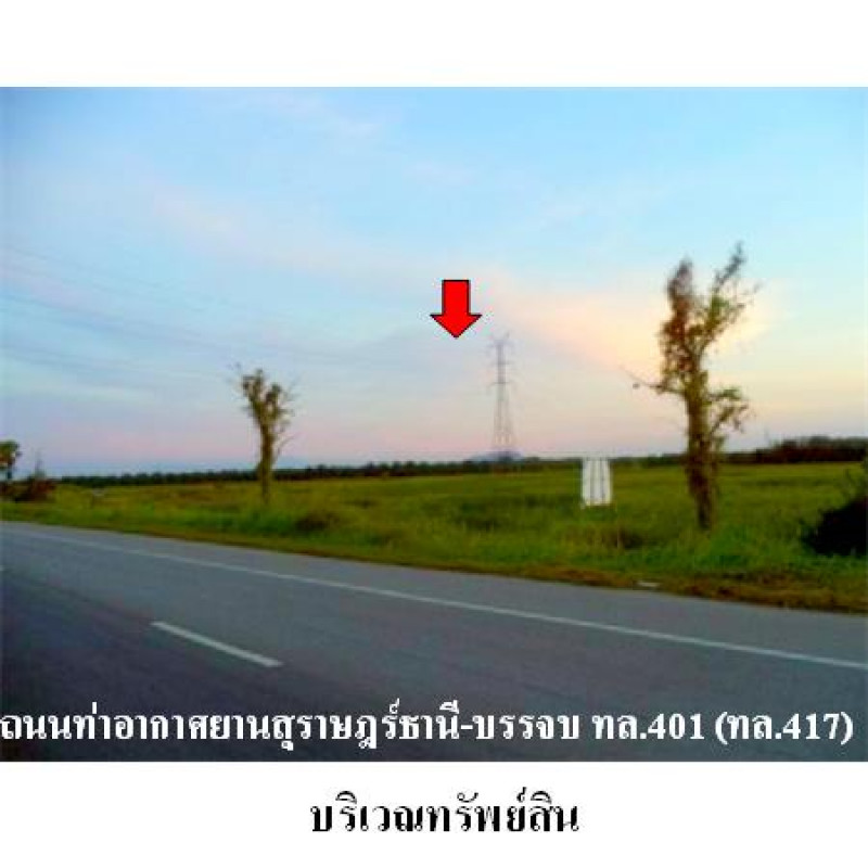 ที่ดินเปล่า สุราษฎร์ธานี พุนพิน ศรีวิชัย 120790000