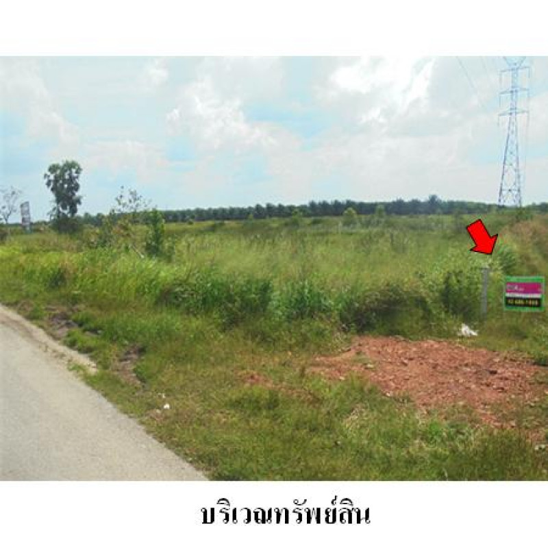 ที่ดินเปล่า สุราษฎร์ธานี พุนพิน ศรีวิชัย 120790000