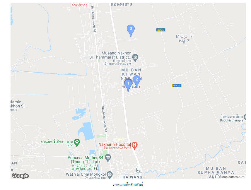 บ้านแฝด นครศรีธรรมราช เมืองนครศรีธรรมราช ปากพูน 2250000