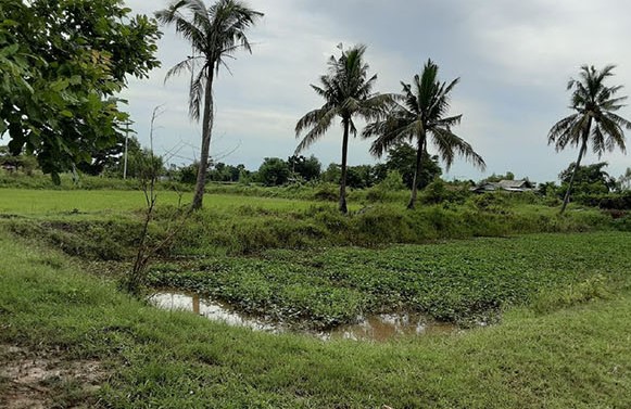 บ้านเดี่ยว กาฬสินธุ์ ยางตลาด บัวบาน 658000