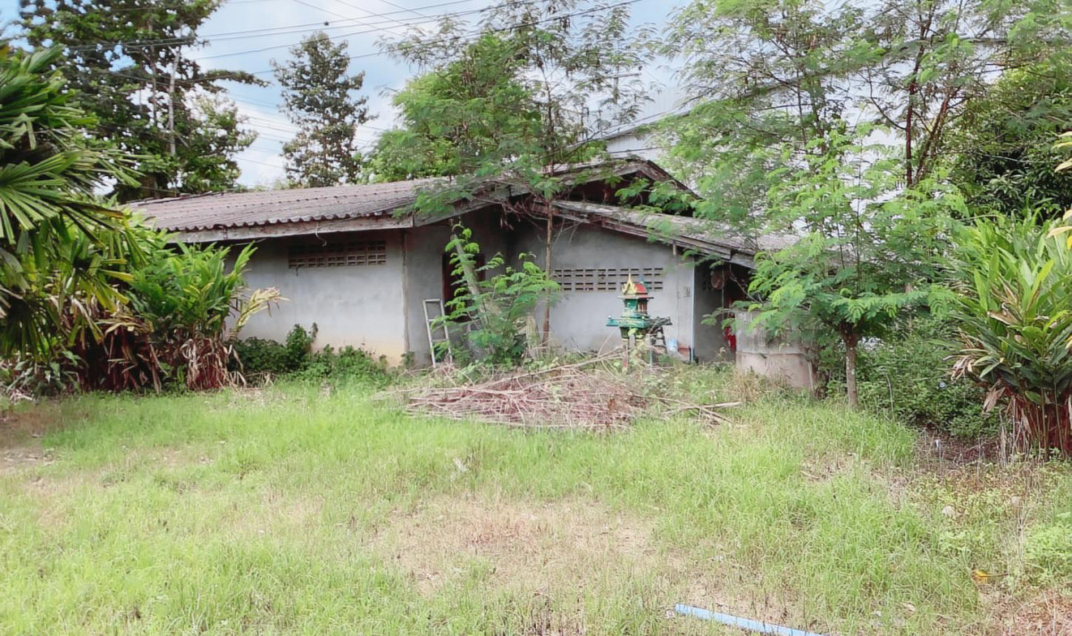 บ้านเดี่ยว ตรัง สิเกา เขาไม้แก้ว 1825000