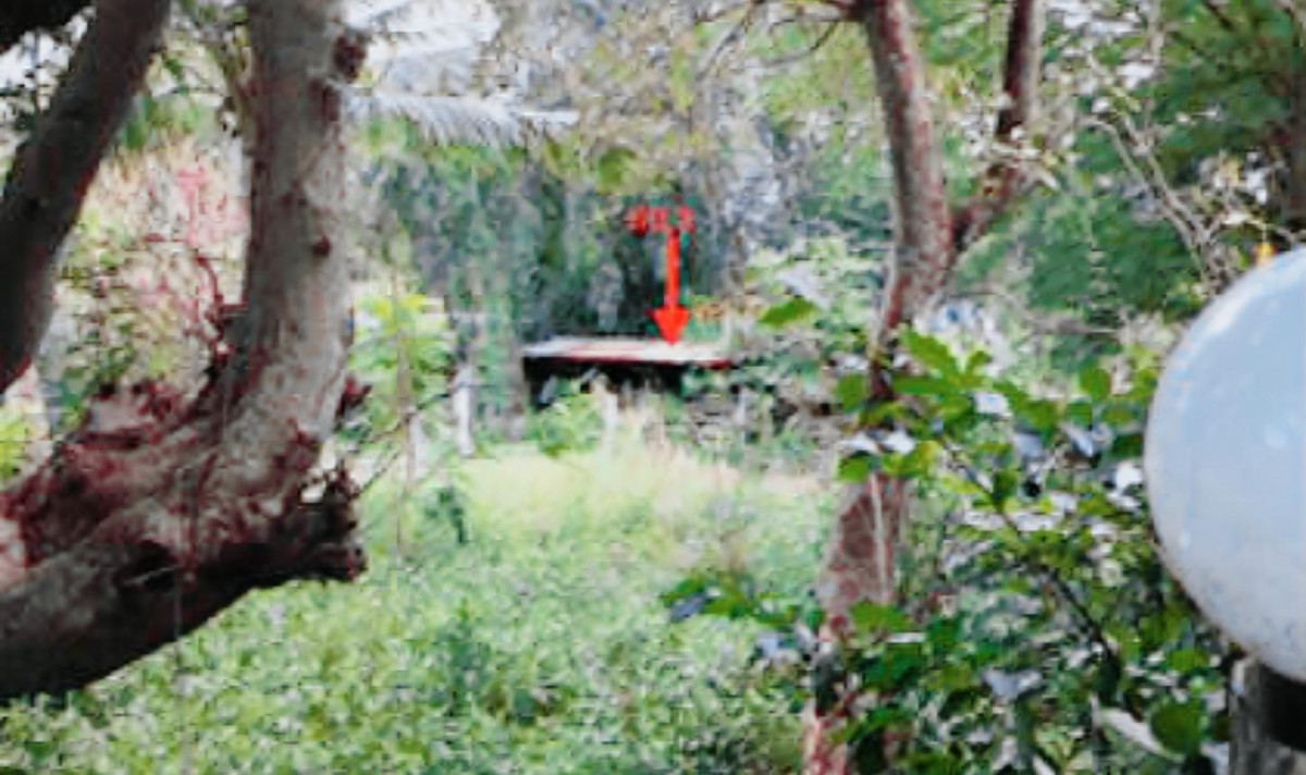 บ้านเดี่ยว ชัยนาท วัดสิงห์ หนองบัว 6096000