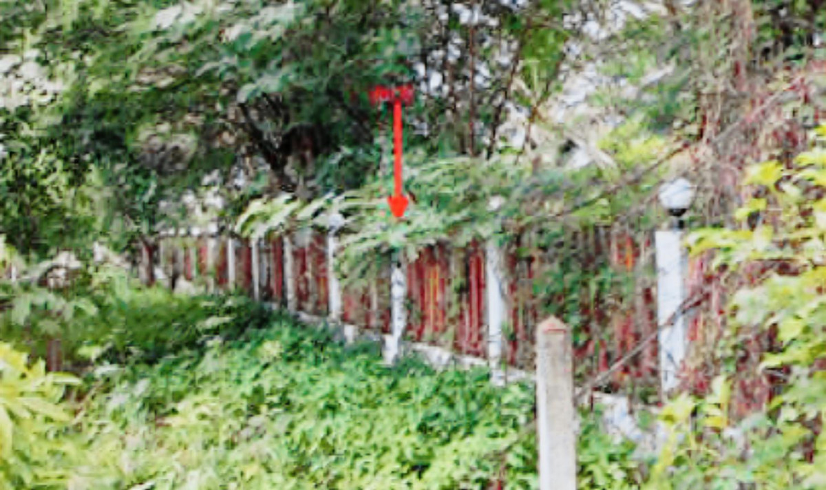 บ้านเดี่ยว ชัยนาท วัดสิงห์ หนองบัว 6096000