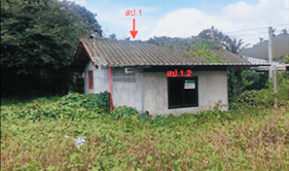 บ้านเดี่ยว ชุมพร เมืองชุมพร นาทุ่ง 2586000